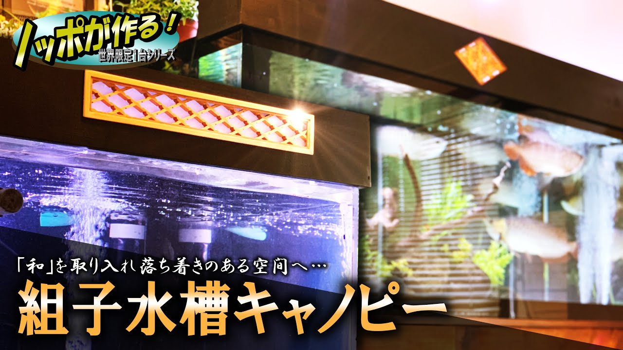 Diy ５分で作る 自作スポンジフィルター 効果抜群 Youtube