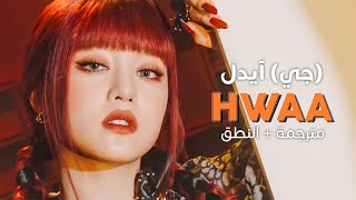 (G)I-dle - HWAA / Arabic sub | أغنية جي آيدل / مترجمة + النطق