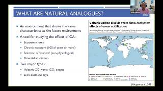 GOA-ON Webinar: Natural analogues and the future of coral communities and their biodiversity screenshot 4