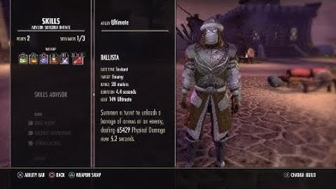 Stamina Sorcerer build VMA - Eso Wolfhunter