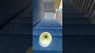 Which ringtone sound is the best ?