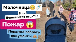 😳Молочница у Добрыни 😱архивные видео 💗