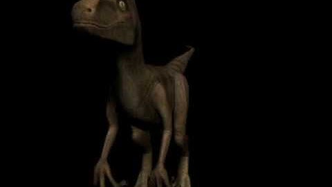 Raptor Animation Test