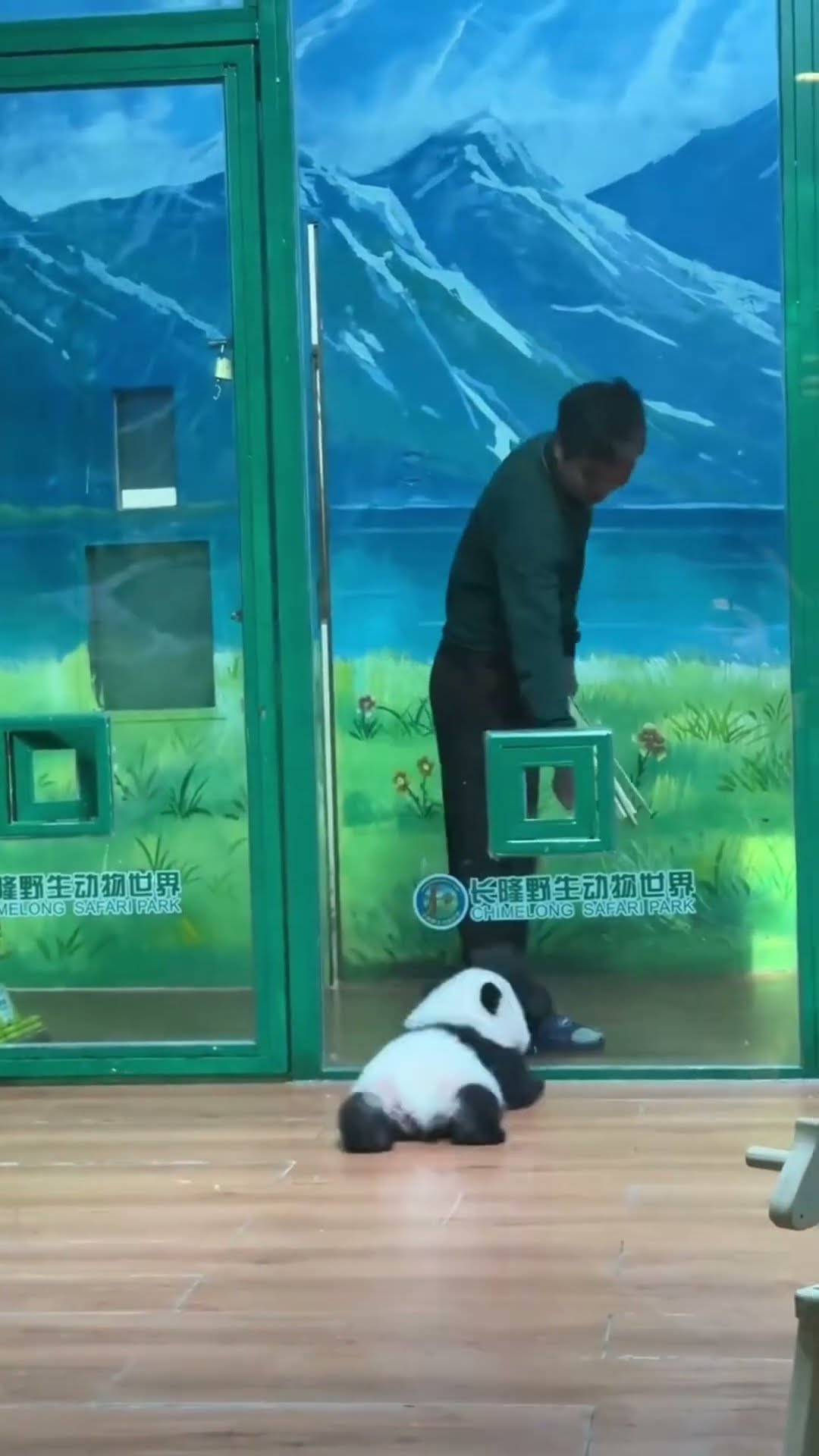 naughty baby panda #shortsvideo