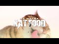 Lil Wayne - Kat Food (Official Lyric Video)