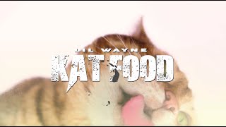 Lil Wayne - Kat Food