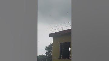 সূরা আল-ফালাক (আরবি: سورة الفلق; নিশিভোর) মুসলমানদের ধর্মীয় গ্রন্থ কুরআনের ১১৩ তম সূরা; এর আয়াত,