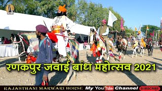 रणकपुर जवाई बांध महोत्सव होर्स शौ 2021 ll Rajasthani Marwari Horse