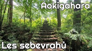 Aokigahara - Japonský les sebevrahů