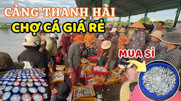Cảng cá Thanh Hải nơi mua hải sản giá sỉ giữa lòng thành phố Phan Thiết  🏝 😄