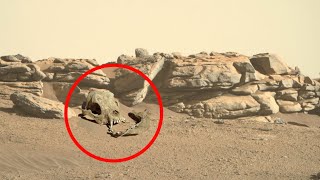 Mars perseverance rover captured  best and amazing pictures | Mars stunning video | Mars 4k