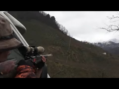Domuz avı / wild boar hunting