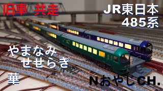 共走 旧車 JR東日本 485系お座敷電車やまなみ+せせらぎ & 華 JR EAST 485 SERIES TATAMI TRAIN YAMANAMI+SESERAGI & HANA