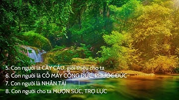 Nhận thức nội tâm về CON NGƯỜI