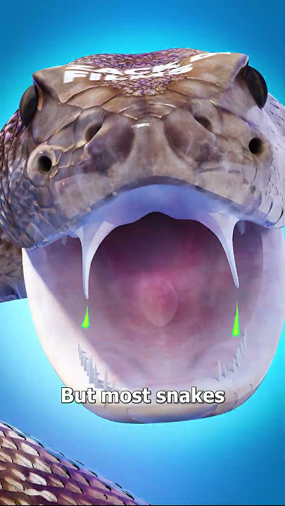 Can Snakes Die From Venom? 😮