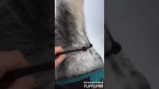 Saying goodbye to my dream horse