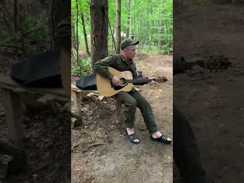 Я піду в далекі гори (cover)