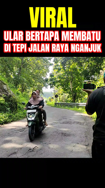 viral, ular bertapa sampai membatu di tepi jalan raya Nganjuk hebohkan warga