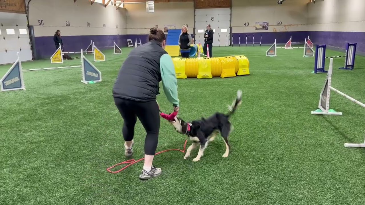 Good Marker/Different Kinds of Stays