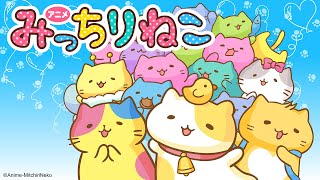 アニメ「みっちりねこ」がAmazonプライムビデオ、dアニメストアで配信開始！