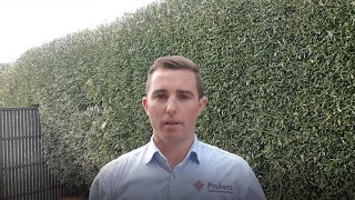 Prolam FAQ: How can checking be minimised in Prolam? Prolam Faq Why Use A Prolam Glulam Post Over Against A Solid Post