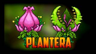 Plantera boss theme extended with a slight improvement to the loop (it
normally loops awkwardly.) i take no credit. all goes re-logic. and
little bit to...