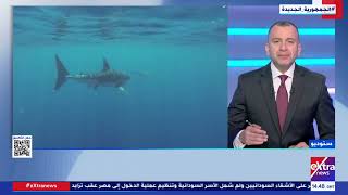 د. عمرو زكريا حمودة رئيس المعهد القومي لعلوم البحار والمصايد يوضح أسباب هجوم القرش على الإنسان