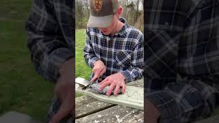 How to FILLET a CRAPPIE Fish like a PRO!