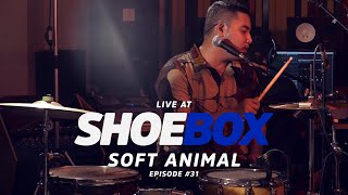 Soft Animal Live at Shoebox Sessions | Shoebox #31 screenshot 2