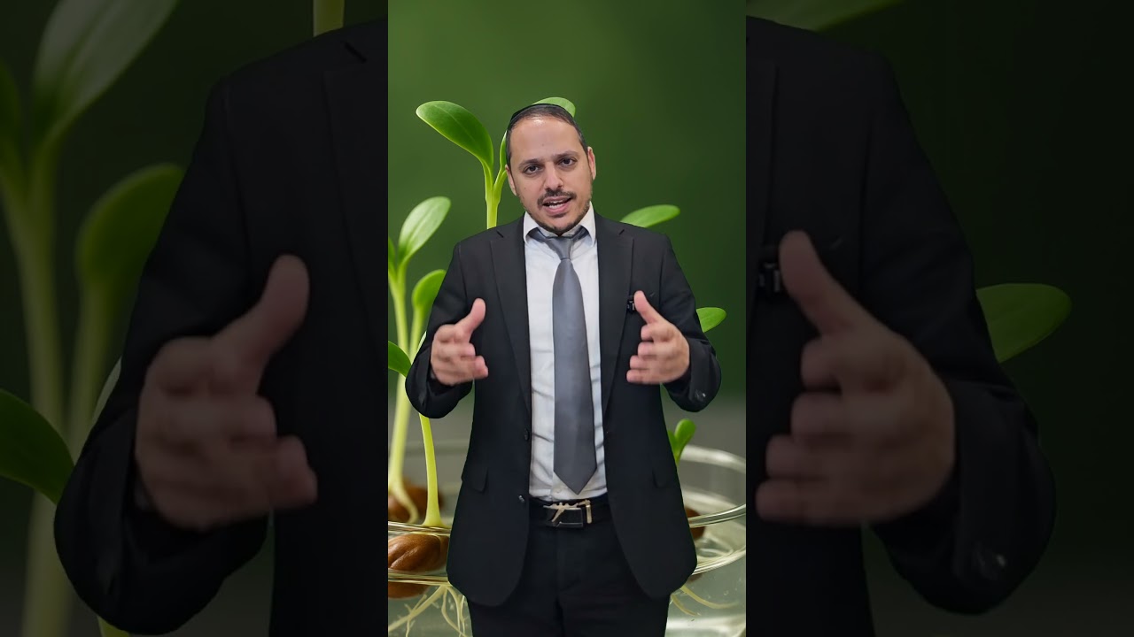 Uploads from הרב ישי זרגרי