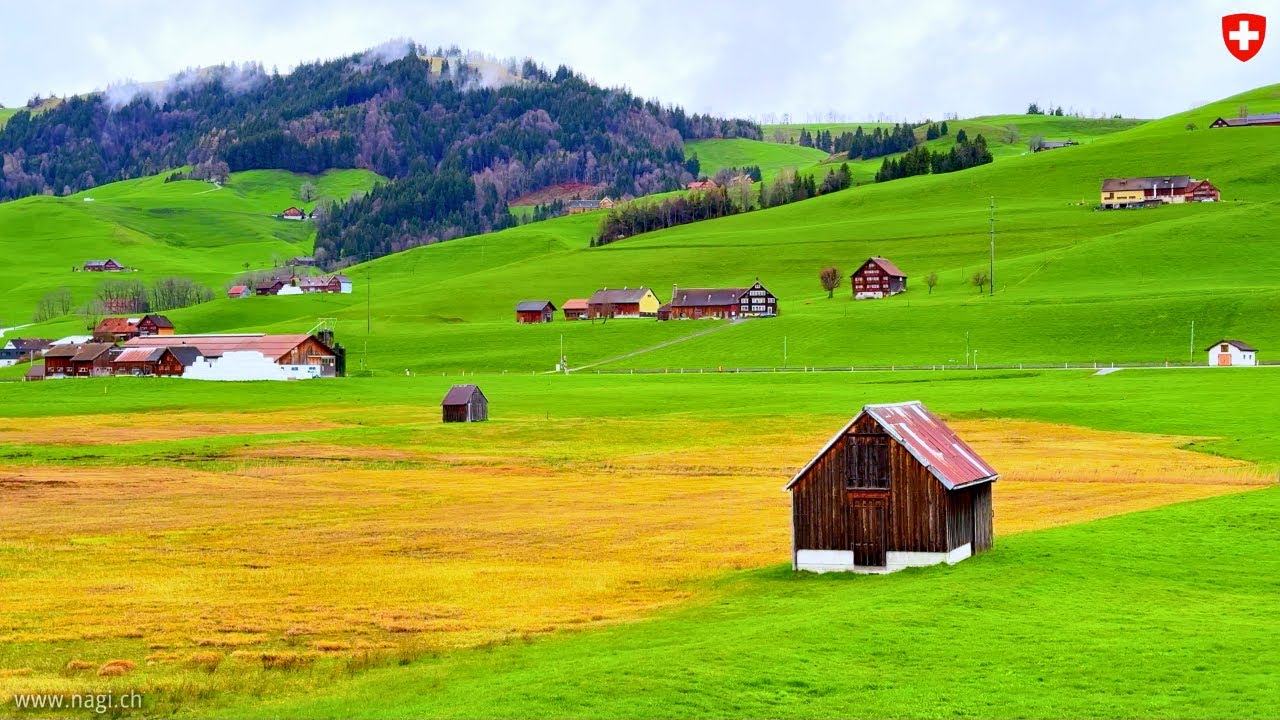 Discover the SECRET to Switzerland's Most Charming Village Appenzell! 🇨🇭