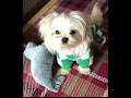 I love my new PJ’s… goodnight may your dreams be sweet 😍love from Teddy ❤️
