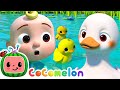 Five little ducks  option 2  cocomelon furry friends  animals for kids