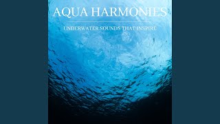 Aqua Harmonies Underwater Sounds That Inspire