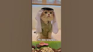 😼:Alhamdulillah hari pertama puasa lancar woi #cat #kucinglucubandung #kucing #kucingtiktok