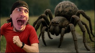 Ich Wurde Von Einer Riesenspinne Gejagt 😱🕷️