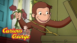 eco george curious george kids cartoon kids movies videos for kids