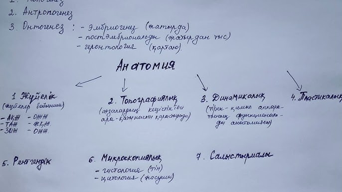 Қынап қалай көрінеді? Far Cry 4 секс Амита