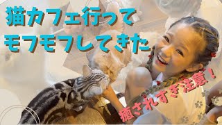 【cat cafe】猫カフェに行って癒されてみた♡【猫カフェMOCHA 渋谷センター街店】