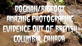 DOGMAN/BIGFOOT AMAZING PHOTOGRAPHIC EVIDENCE OUT OF BRITISH COLOMBIA, CANADA