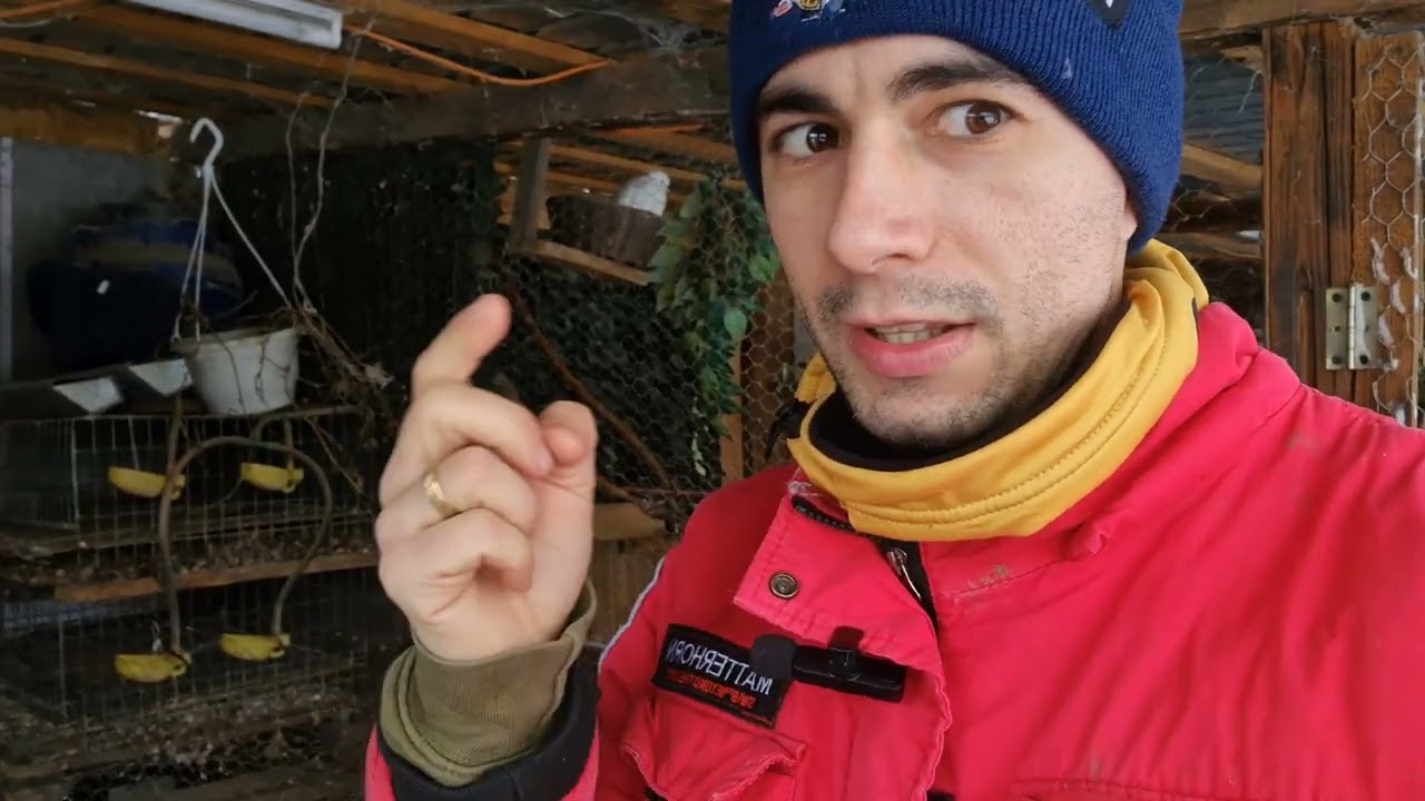 Viața la țară ❗Ce am făcut cu nutriile? + Am găsit o turturică moartă😭 + Noutăți la găini🐓