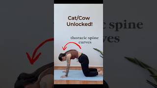 Cat and Cow Yoga Pose Unlocked #yogapostures #mobility