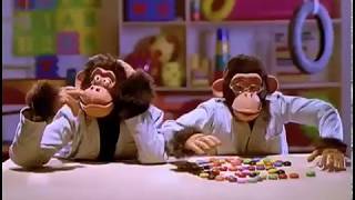 Smarties - Monkey Business 1990S, Canada