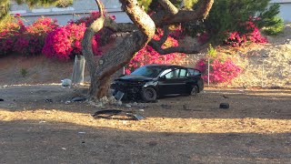 Vehicle vs tree driver ran #pomona #police 