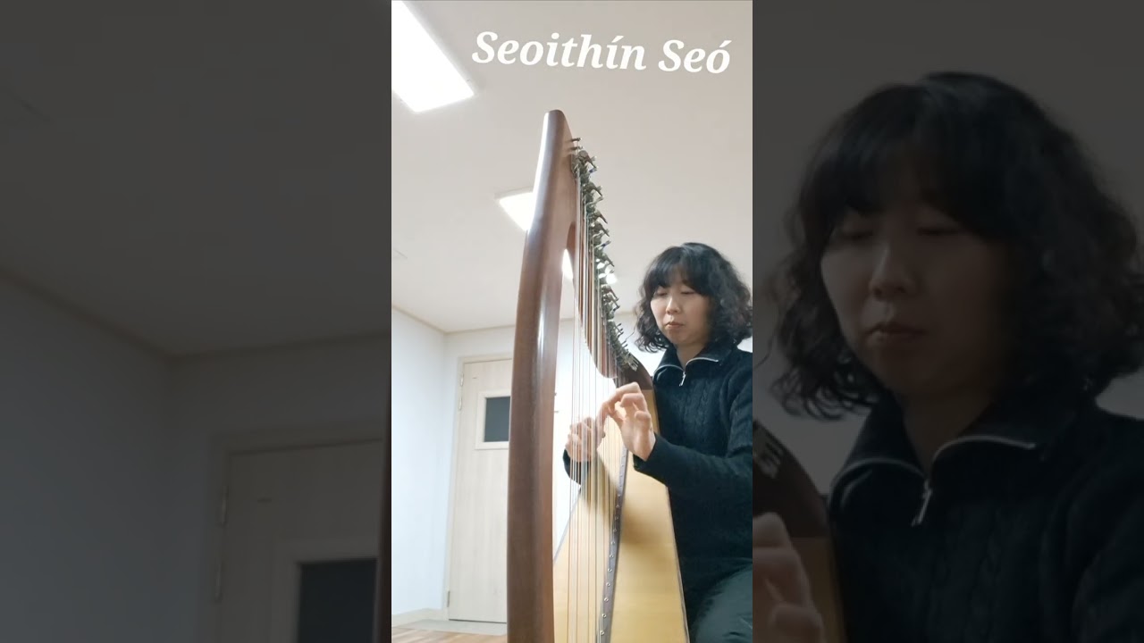 켈틱하프 | Seoithín Seó (Suantrái)