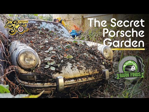 Secret Garden full of overgrown Classic Cars