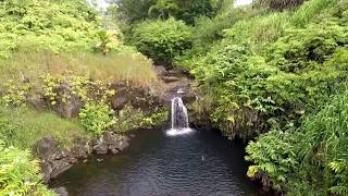 AirBnB Backyard Hidden Gems
