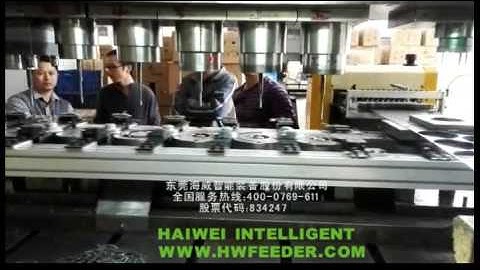 HAIWEI NCZ Servo Zigzag Feeder Working With 2D Transfer System