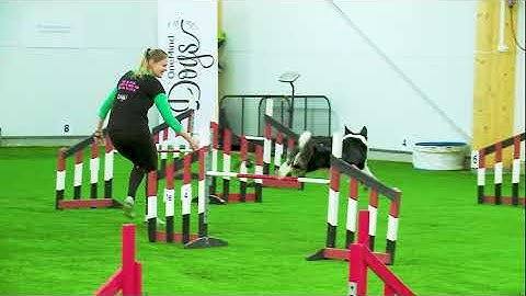 International Agility Training Week - Practicing The Lap Turn - Preview