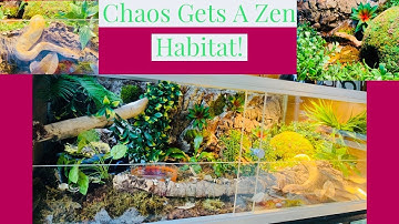 Ball Python Naturalistic Setup (Zen Habitats)